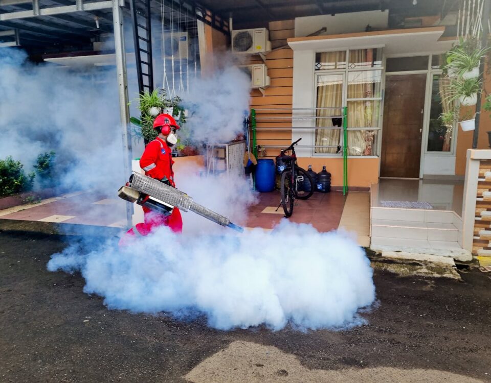 Deveres na contratação de serviços de dedetização Deveres na contratação de serviços de dedetização