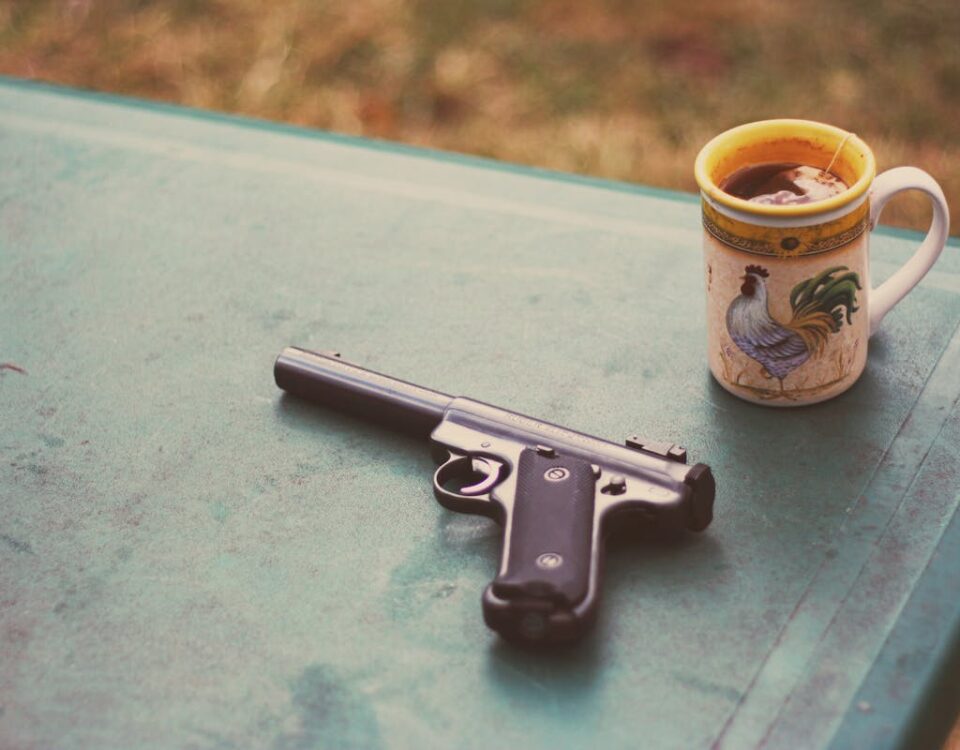 Legislação sobre posse de armas no Brasil