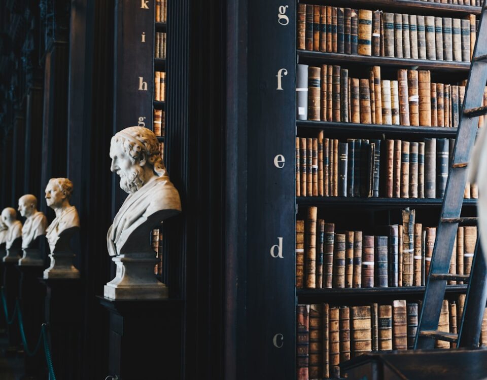 O estoicismo pode ajudar advogados a manter a calma no tribunal? book lot on black wooden shelf