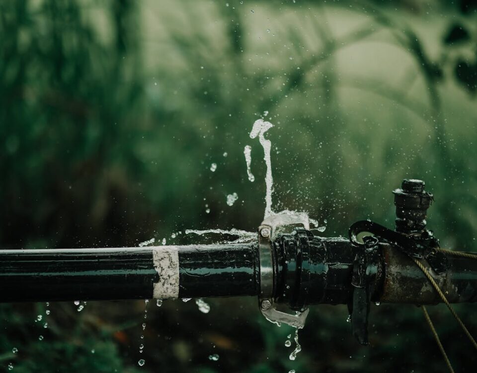 A detailed view of a leaking water pipe in a lush green garden setting.