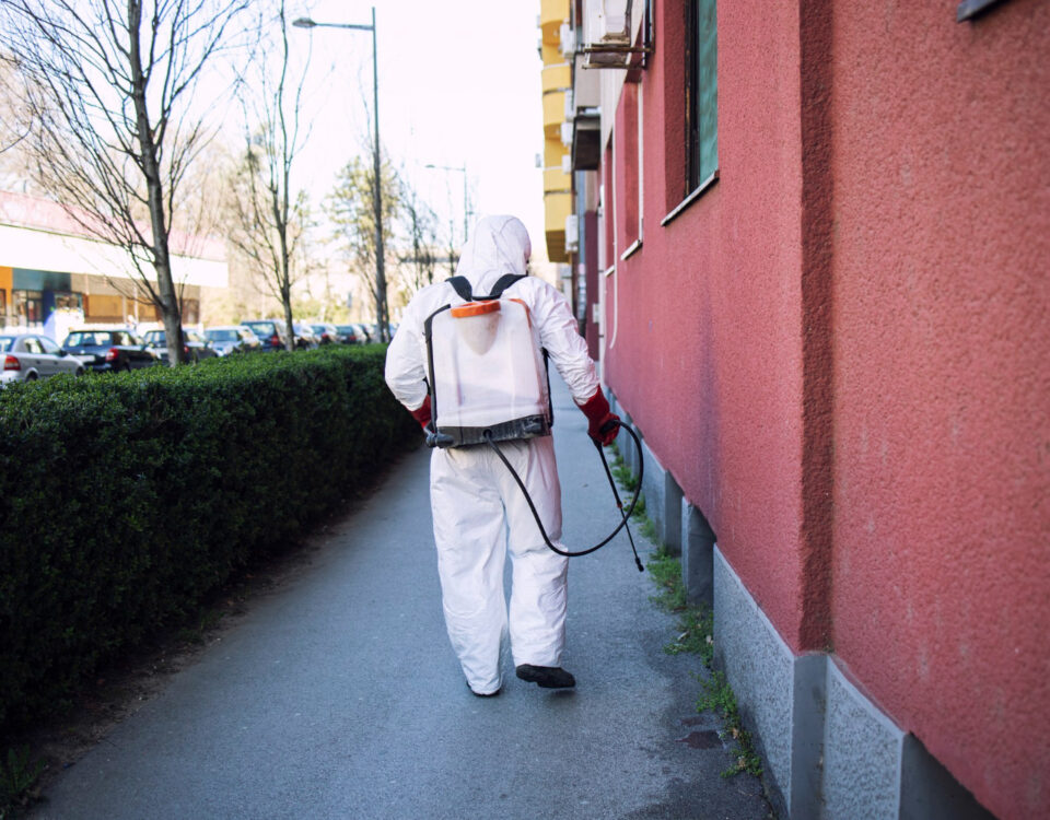 Dedetização em condomínios: Quem paga a conta?