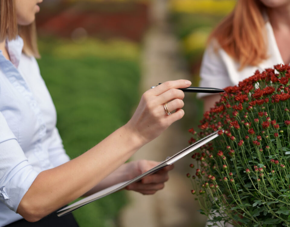 Regulamentações no comércio de plantas e gramados