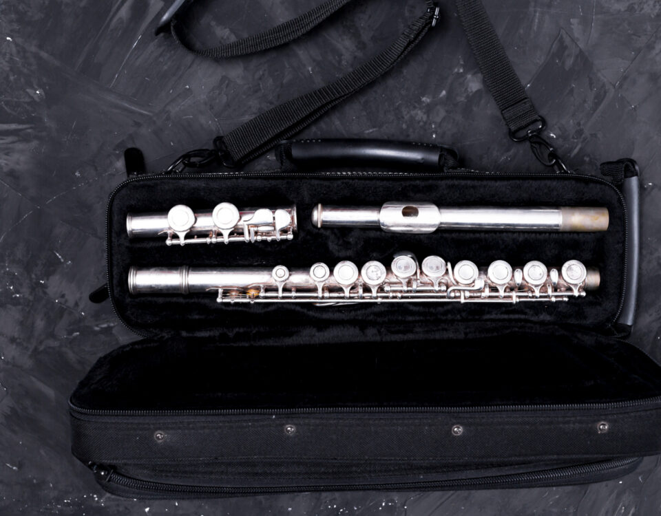 Posso importar instrumentos musicais sem problemas legais? Posso importar instrumentos musicais sem problemas legais?