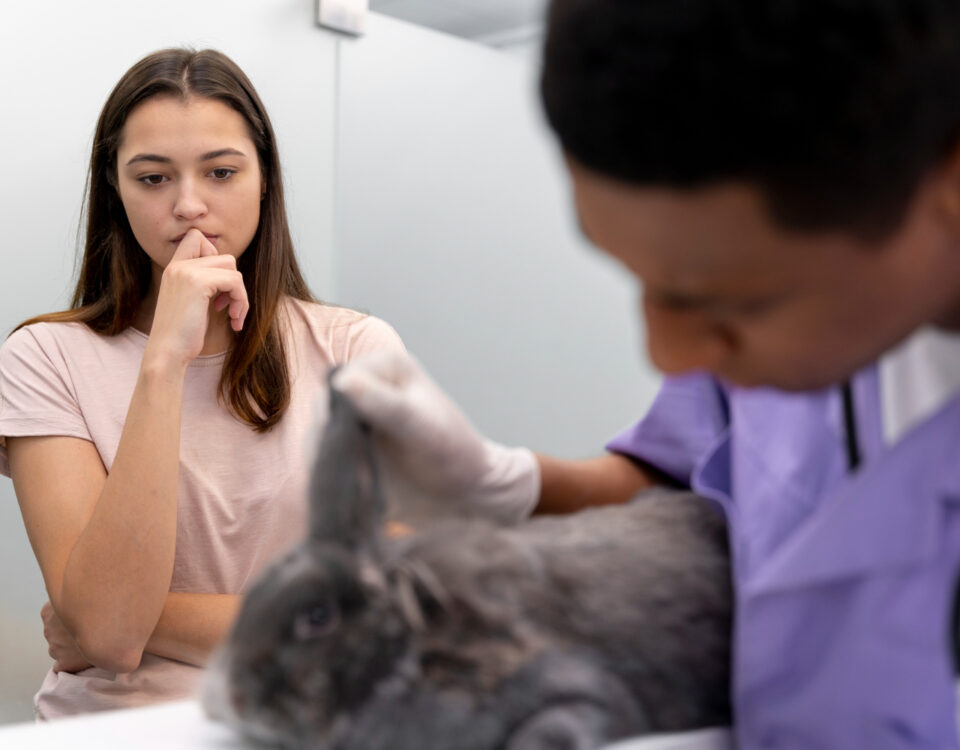 Quando um erro veterinário pode gerar indenização?