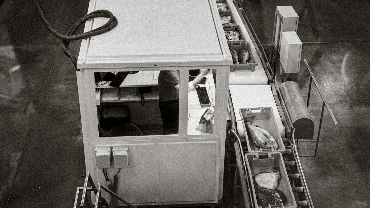 Operador junto a uma esteira industrial